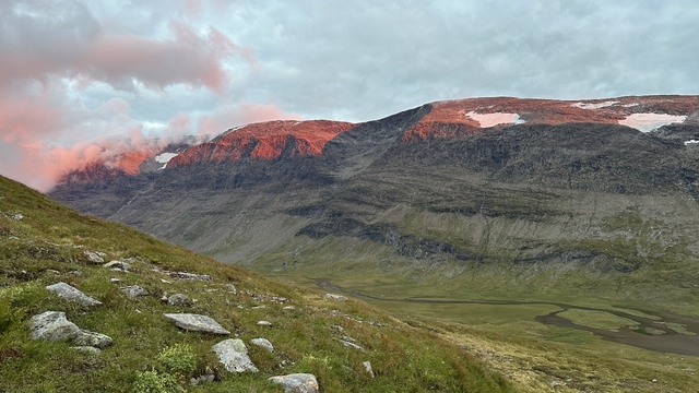 Look at these colors!