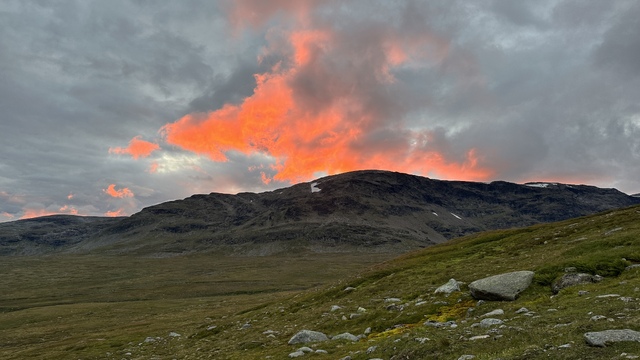 And look at these colors as well!