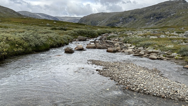 My second wading spot on this trip. This was easy enough but my shoes still got wet.