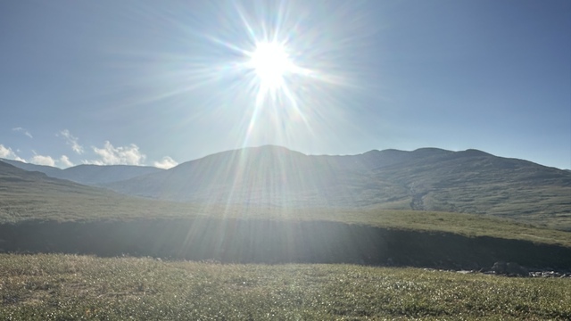 Hadn't seen this much sun since the day I departed from Umeå.